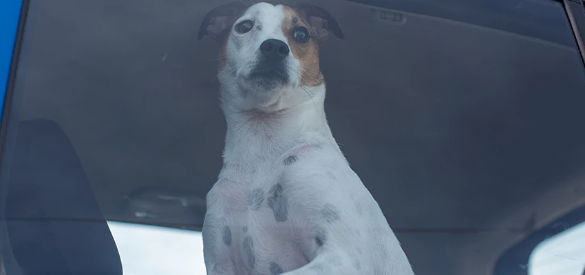 Car Lockout Solutions in Greenfield, California